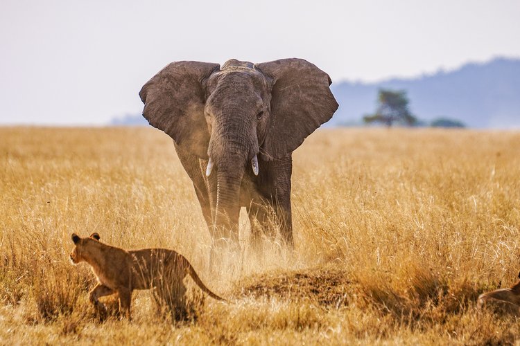 Serengeti National Park