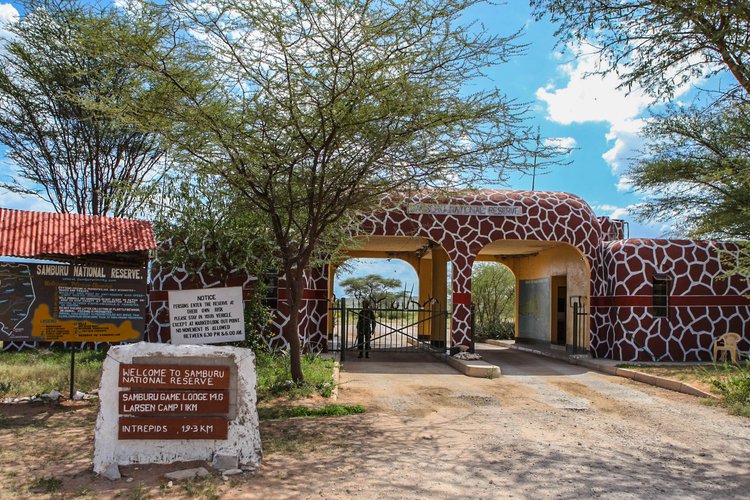 Samburu National Reserve