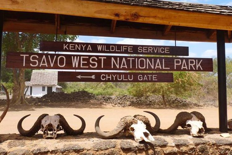 Tsavo West National Park