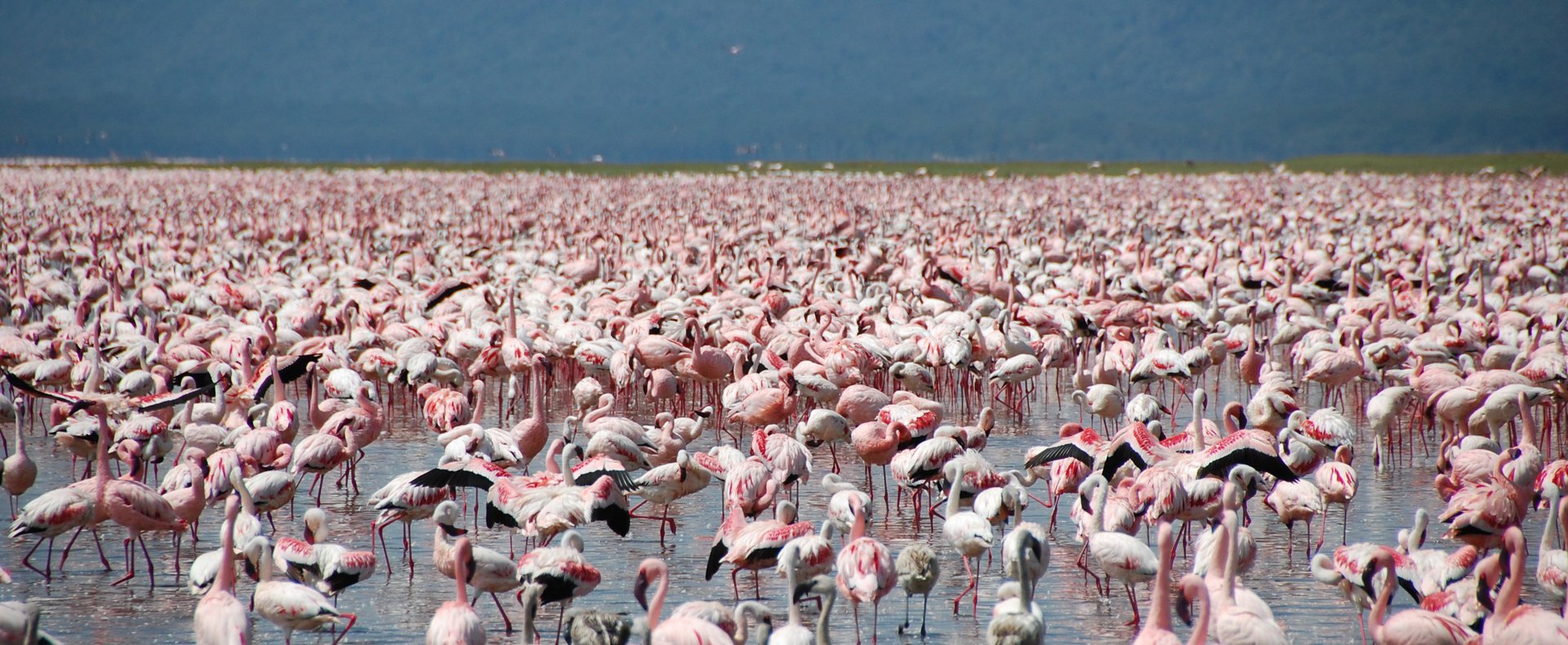 Lake Nakuru National Park