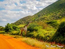 Tsavo East National Park