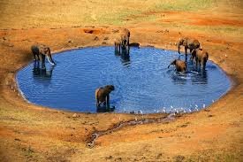 Tsavo East National Park