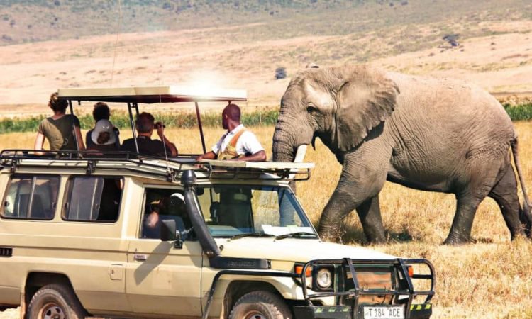 3 DAYS TANZANIA SAFARI – NGORONGORO