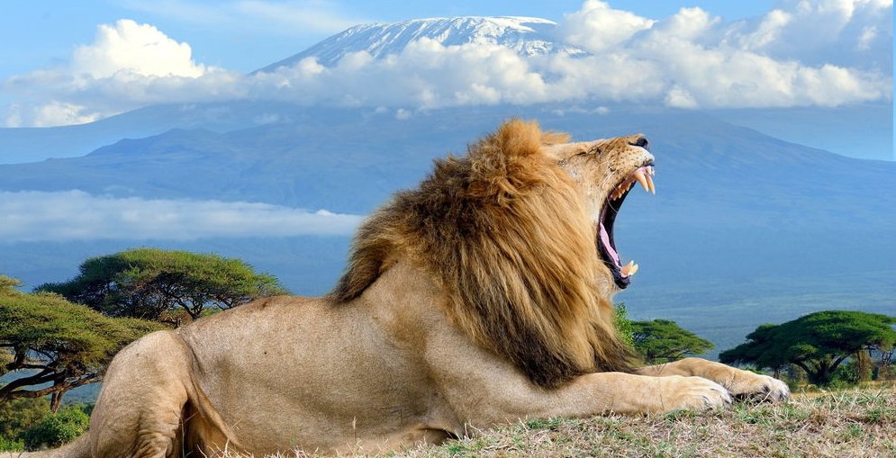 7 DAYS TSAVO EAST – AMBOSELI – LAKE NAKURU – MASAI MARA SAFARI