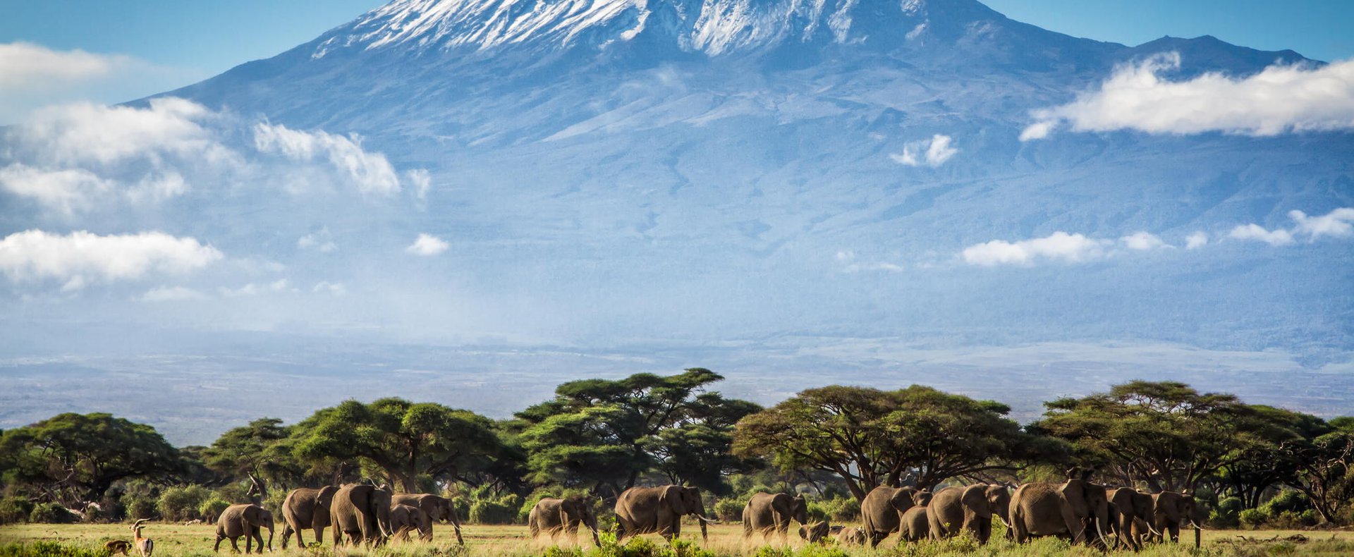 3 DAYS TSAVO EAST AND AMBOSELI (KILIMANJARO SAFARIS)