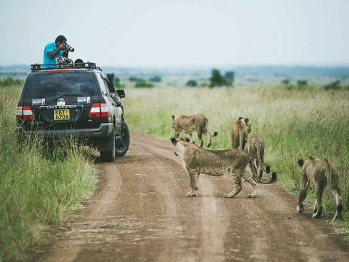 NAIROBI NATIONAL PARK GAME DRIVES | HALF DAY