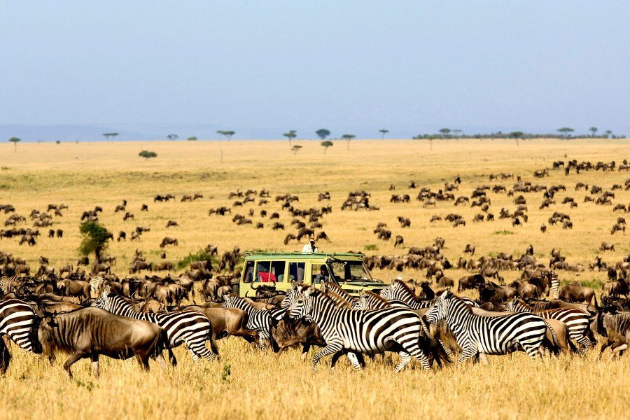 8 DAY SPECTACULAR MIGRATION AT SERENGETI NATIONAL PARK (MID-RANGE)