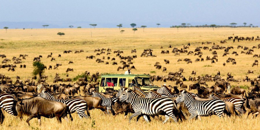 7 DAYS LAKE MANYARA,  NGORONGORO, SERENGETI SAFARI