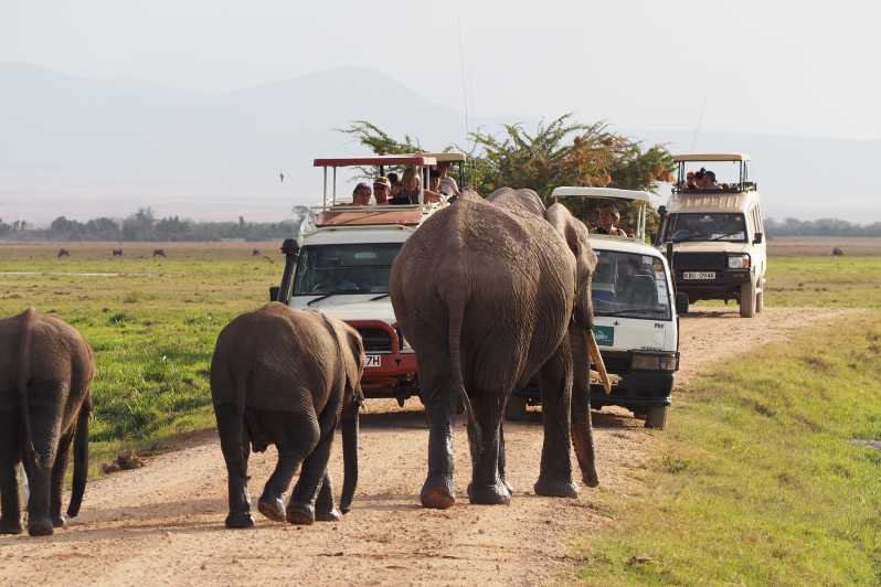 3 DAYS TSAVO WEST & AMBOSELI NATIONAL PARKS SAFARI