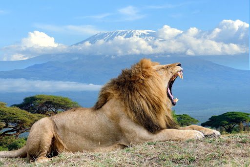 3 DAYS TSAVO WEST & AMBOSELI NATIONAL PARKS SAFARI