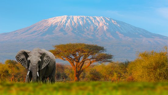 2 DAYS NAIROBI – AMBOSELI – KILIMANJARO