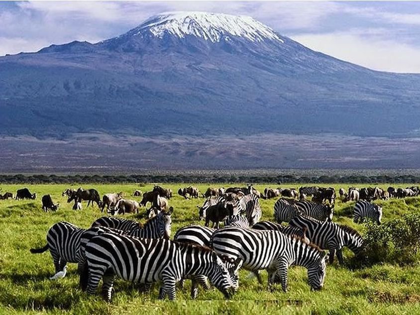 3 DAYS TSAVO EAST AND AMBOSELI (KILIMANJARO SAFARIS)