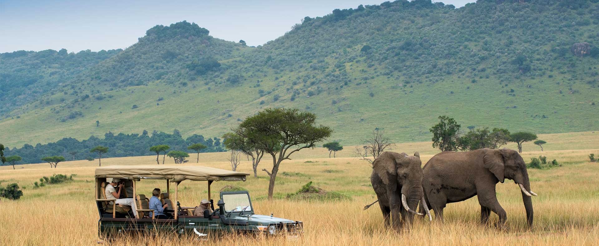 7 DAYS KENYA WILDLIFE AMAZING BUDGET SAFARI