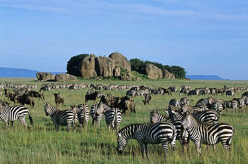 4 Day Camping Safari Tarangire – Ngorongoro and Serengeti